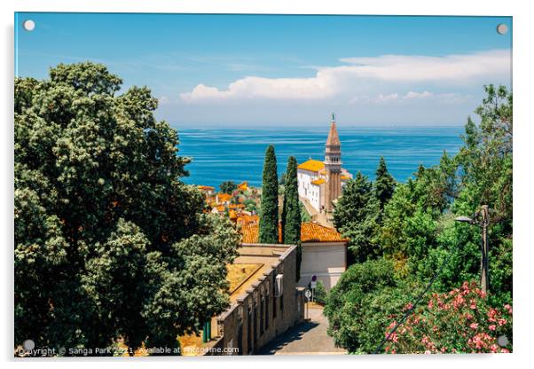 Piran old town and Adriatic sea Acrylic by Sanga Park