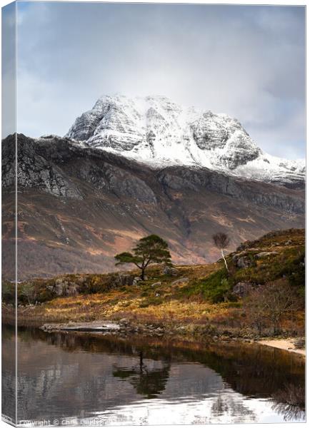Slioch, Scots pine and Birch Canvas Print by Chris Lauder