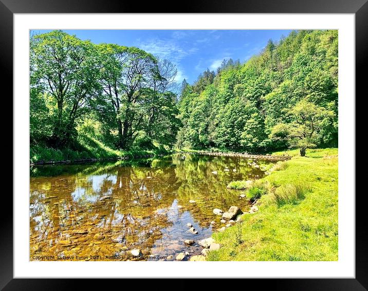 Stepping Stone at Whitewell Framed Mounted Print by Dave Eyres
