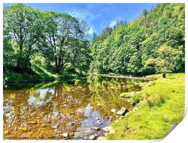 Stepping Stone at Whitewell Print by Dave Eyres