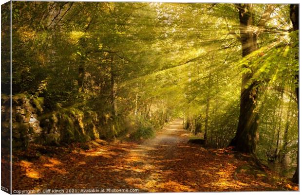Sunrays on an autumn path Canvas Print by Cliff Kinch