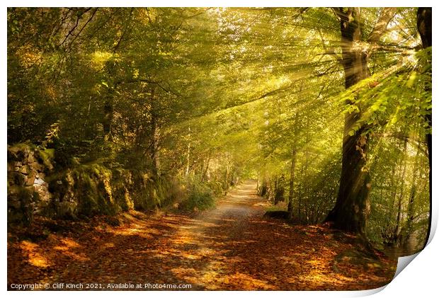 Sunrays on an autumn path Print by Cliff Kinch