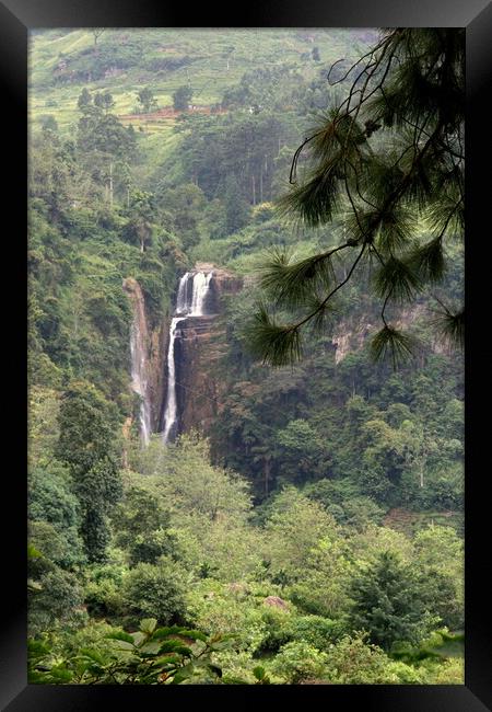 Rain forest waterfall Sri Lanka Framed Print by Ian Turnell