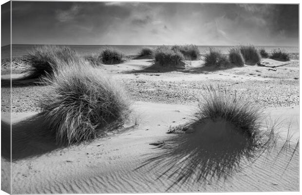 Covehithe Benacre broad suffolk Canvas Print by Kevin Snelling