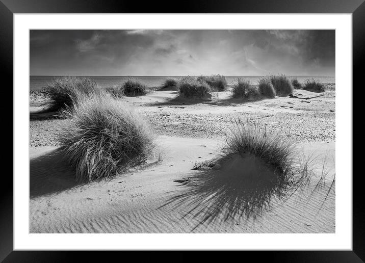 Covehithe Benacre broad suffolk Framed Mounted Print by Kevin Snelling
