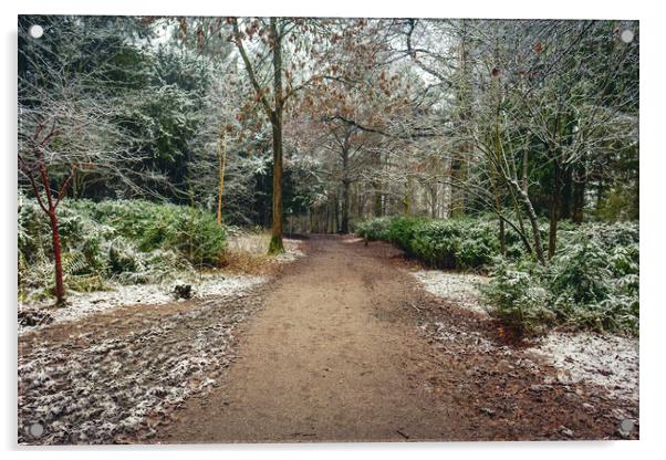 Winter Woodland Acrylic by Hectar Alun Media