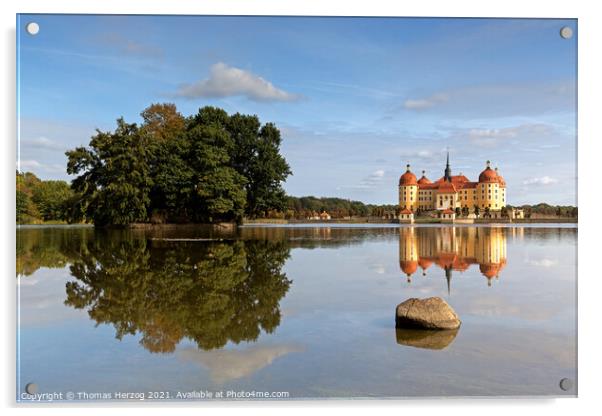 Moritzburg Castle  Acrylic by Thomas Herzog