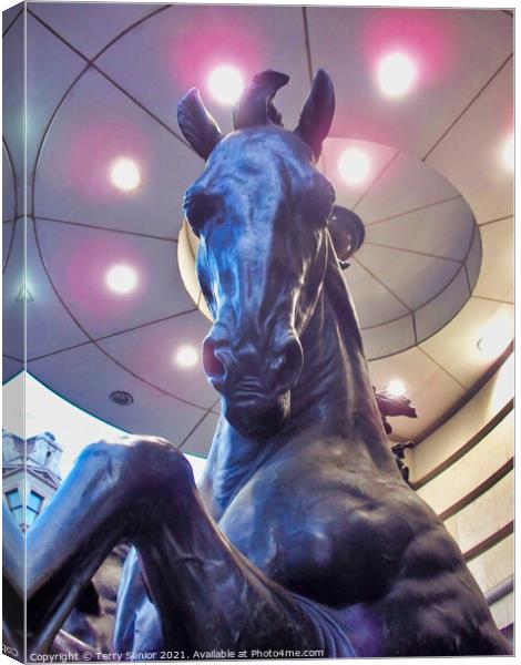 One of The Four Bronze Horses Of Helios, Piccadilly Circus. London Canvas Print by Terry Senior