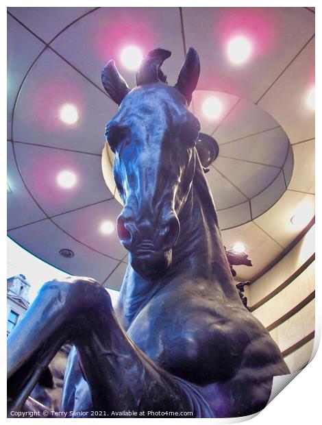 One of The Four Bronze Horses Of Helios, Piccadilly Circus. London Print by Terry Senior
