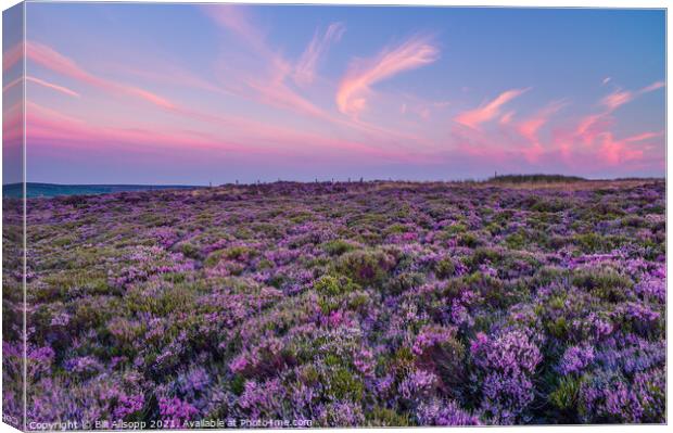 Heather and sky. Canvas Print by Bill Allsopp