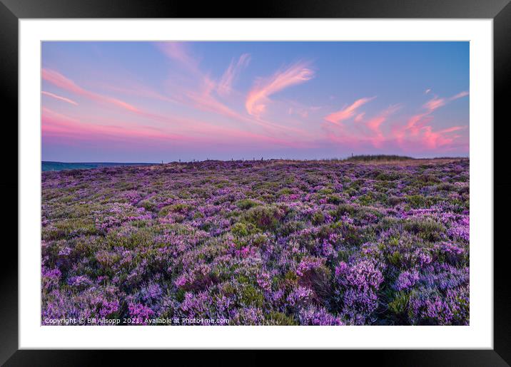 Heather and sky. Framed Mounted Print by Bill Allsopp