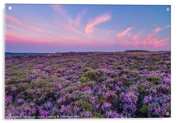 Heather and sky. Acrylic by Bill Allsopp