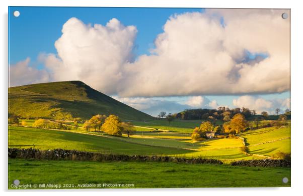 Dales view #1 Acrylic by Bill Allsopp