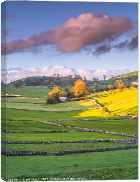 Dales view #3 Canvas Print by Bill Allsopp