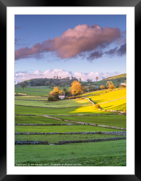 Dales view #3 Framed Mounted Print by Bill Allsopp