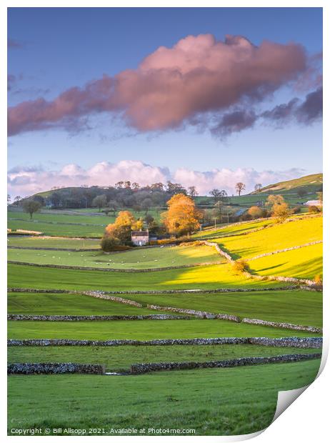 Dales view #3 Print by Bill Allsopp