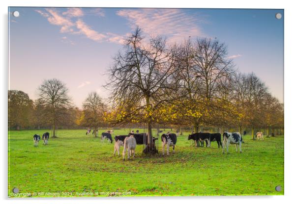 The herd Acrylic by Bill Allsopp