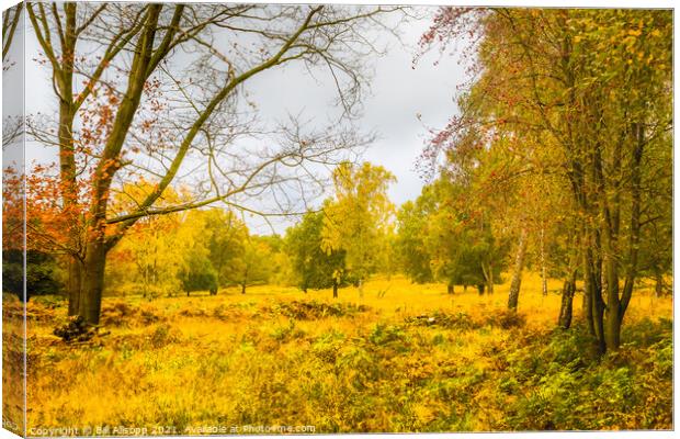 Autumn in Charnwood Forest. Canvas Print by Bill Allsopp