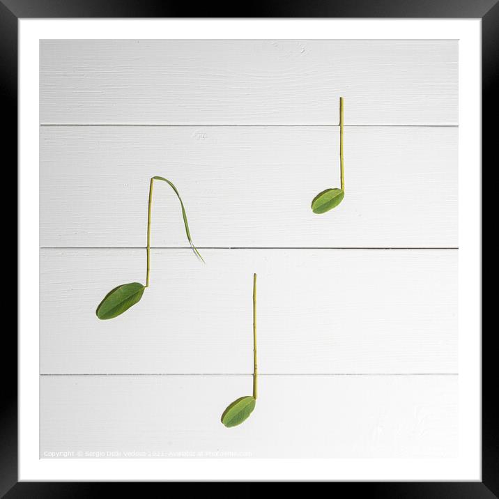 music of nature  Framed Mounted Print by Sergio Delle Vedove