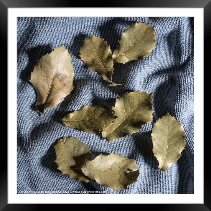 a sweater in autumn Framed Mounted Print by Sergio Delle Vedove