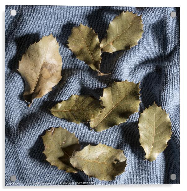 a sweater in autumn Acrylic by Sergio Delle Vedove