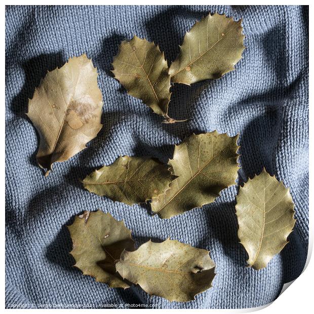a sweater in autumn Print by Sergio Delle Vedove