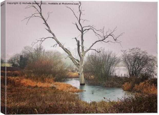 Boddington Reservoir Lone tree frozen in a pond Canvas Print by Michelle Bowler