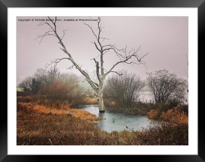 Boddington Reservoir Lone tree frozen in a pond Framed Mounted Print by Michelle Bowler