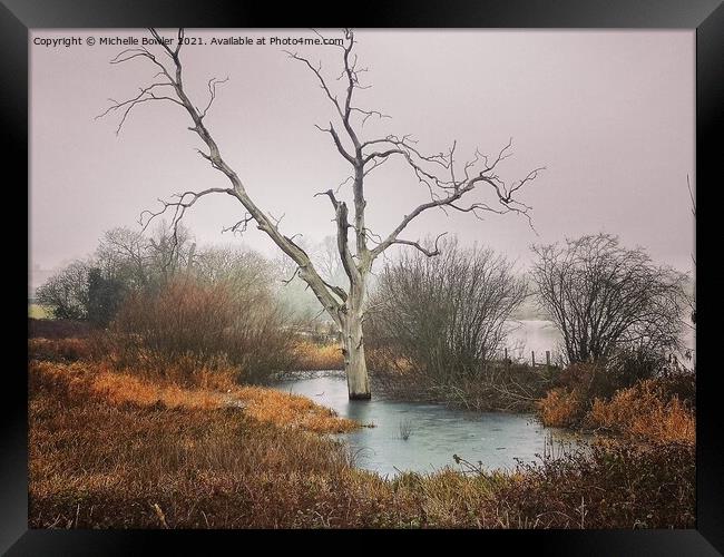 Boddington Reservoir Lone tree frozen in a pond Framed Print by Michelle Bowler