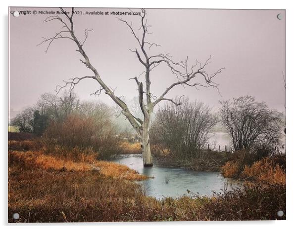 Boddington Reservoir Lone tree frozen in a pond Acrylic by Michelle Bowler