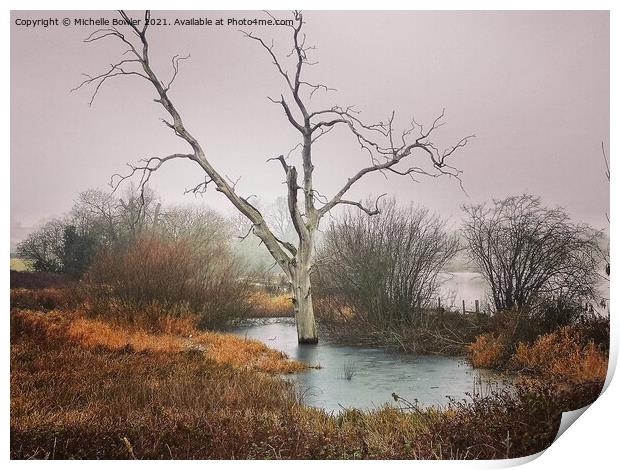 Boddington Reservoir Lone tree frozen in a pond Print by Michelle Bowler