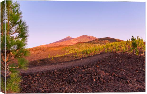 Teide and Pico Viejo at sunset, Tenerife Canvas Print by Phil Crean
