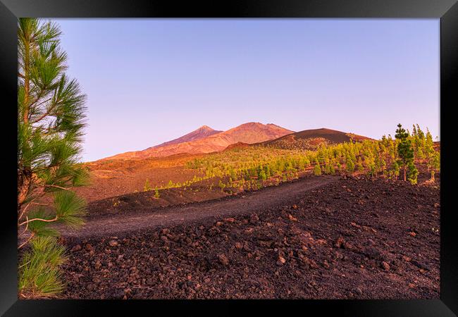 Teide and Pico Viejo at sunset, Tenerife Framed Print by Phil Crean
