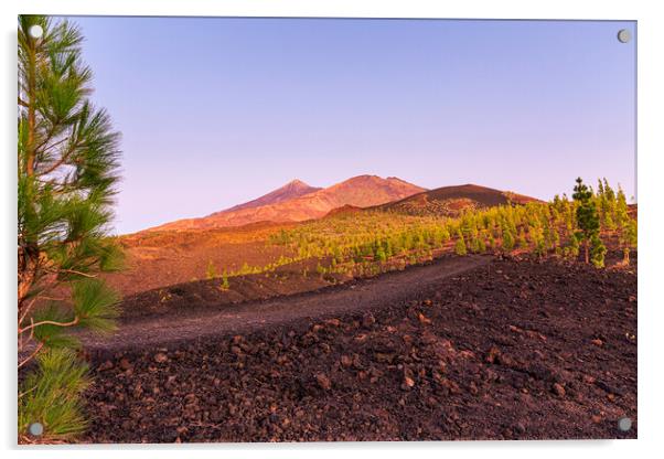 Teide and Pico Viejo at sunset, Tenerife Acrylic by Phil Crean