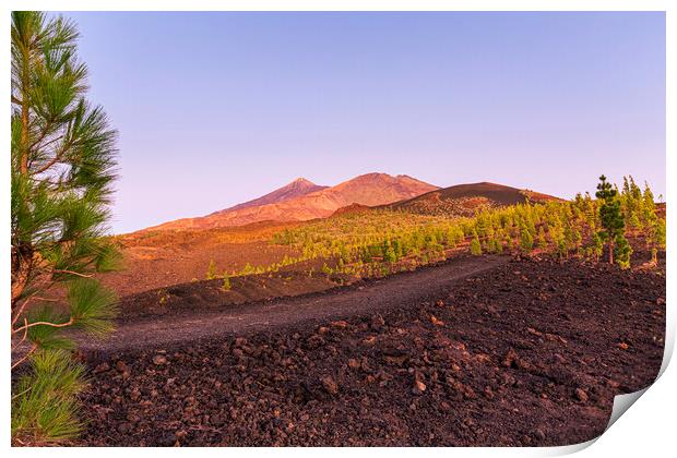 Teide and Pico Viejo at sunset, Tenerife Print by Phil Crean