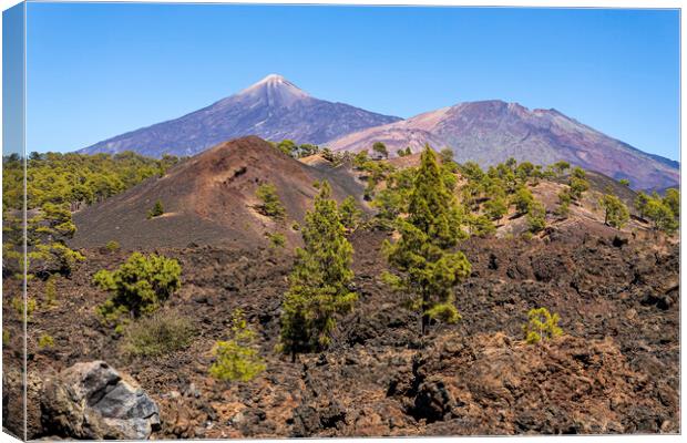 Mount Teide volcano, Tenerife Canvas Print by Phil Crean