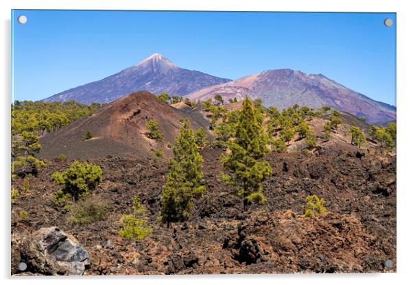 Mount Teide volcano, Tenerife Acrylic by Phil Crean