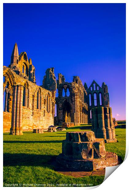 Sunlit Whitby Abbey, North Yorkshire Print by Michael Shannon