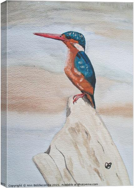 Kingfisher watercolor Canvas Print by Ann Biddlecombe