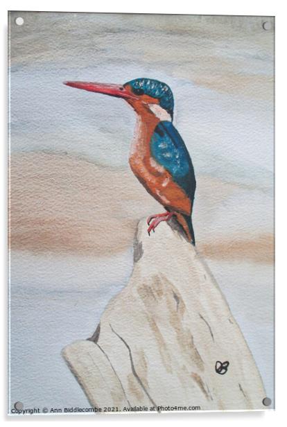 Kingfisher watercolor Acrylic by Ann Biddlecombe