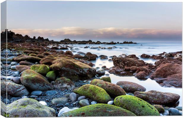 Green stones on the west coast at dawn, Tenerife Canvas Print by Phil Crean
