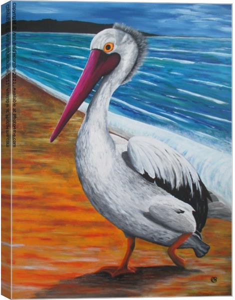 The Pelican Canvas Print by Ann Biddlecombe