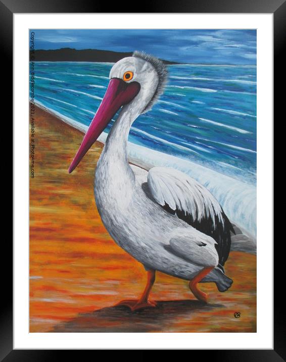 The Pelican Framed Mounted Print by Ann Biddlecombe