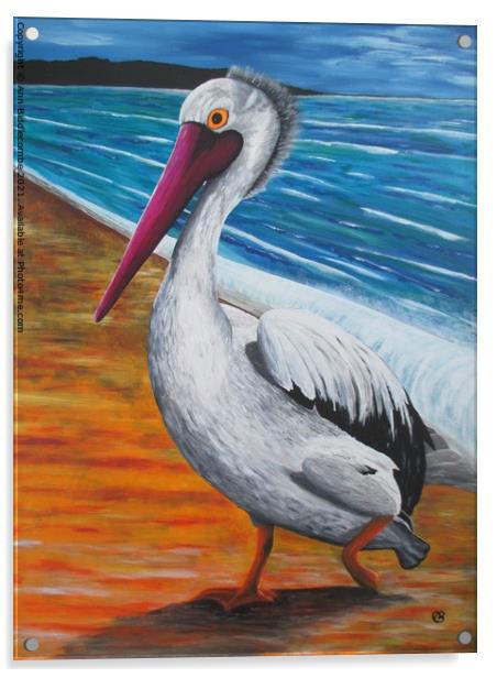 The Pelican Acrylic by Ann Biddlecombe