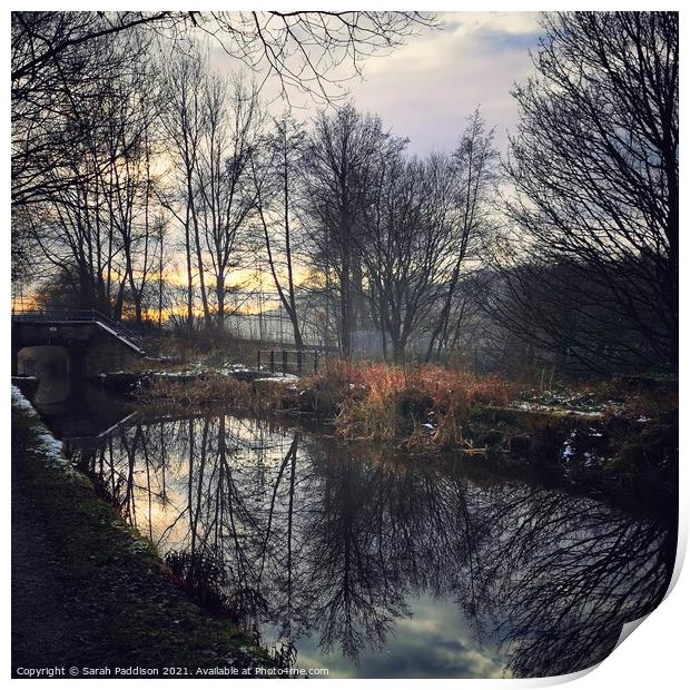 Winter Refection in the canal Print by Sarah Paddison