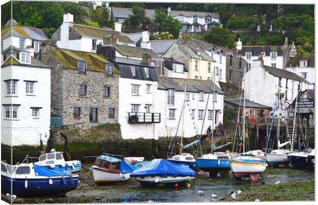 Polperro Canvas Print by Alexandra Lavizzari