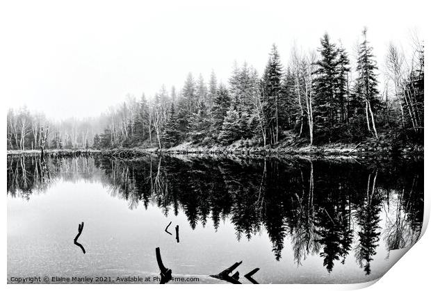 Beaver Pond in Winter Print by Elaine Manley