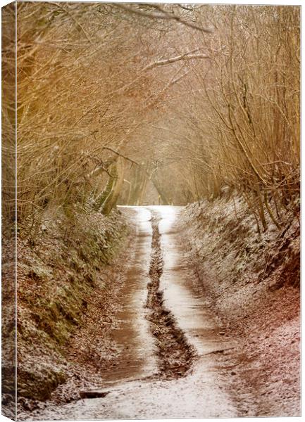A country road in Winter Canvas Print by Leighton Collins