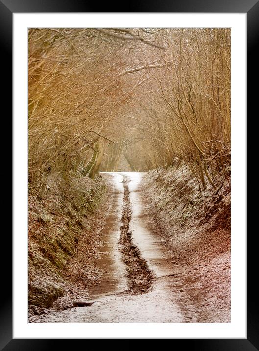 A country road in Winter Framed Mounted Print by Leighton Collins