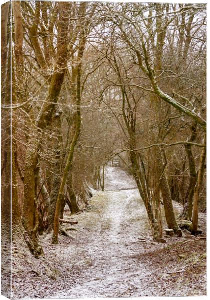 A country lane in Winter Canvas Print by Leighton Collins